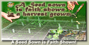 A Seed Sown