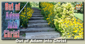 Out of Adam into Christ